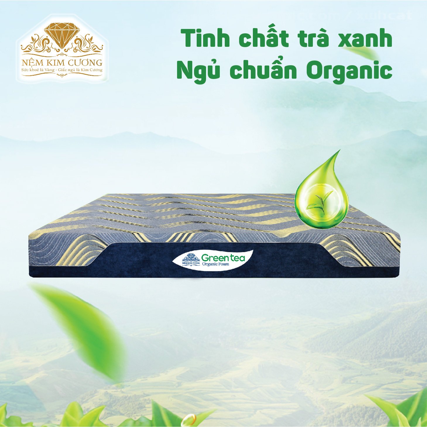 Review nệm Foam Green Tea Organic - Nệm sạch thuần thiên nhiên