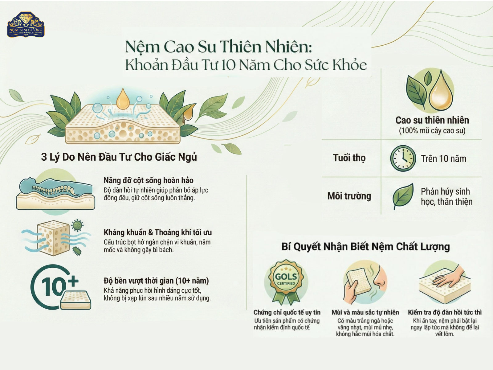 NỆM NÀO TỐT CHO CỘT SỐNG? LỜI KHUYÊN TỪ CHUYÊN GIA XƯƠNG KHỚP