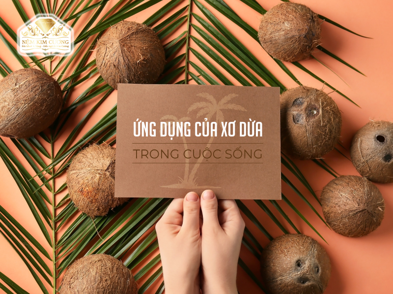 Cách xử lý xơ dừa, vỏ thông trước khi dùng làm giá thể trồng lan