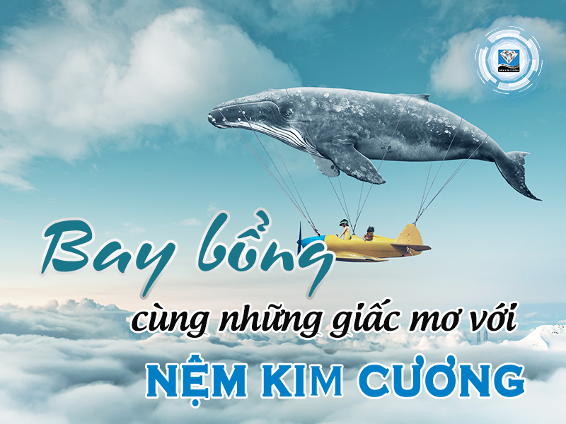 Giấc mơ về cuộc thi